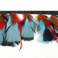 Feathers